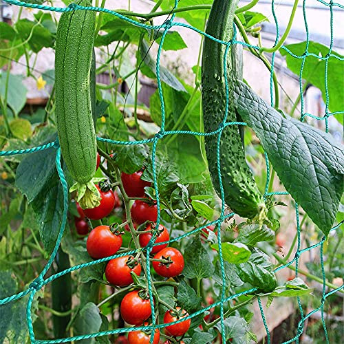 PDGROW Ranknetz Verdickung Pflanzennetz mit Großer Maschenweite Rankhilfe Netz für Kletterpflanzen, Gurken,Tomaten und Anderen Gemüsepflanzen Gewächshaus Zubehör - 2m x 2.5m