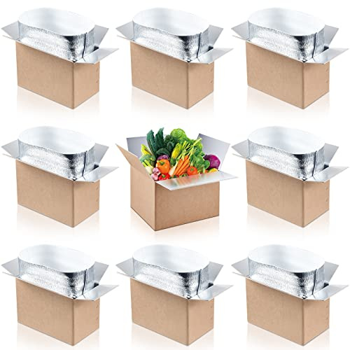 Nuanchu 10 Pieces Insulated Shipping Boxes, 9 x 5 x 6 Double Insulated with Aluminum Foil Liner Thermal Insulation Cold Reusable Mailing Box for Cold Food, Shipping, Mailing, Packing