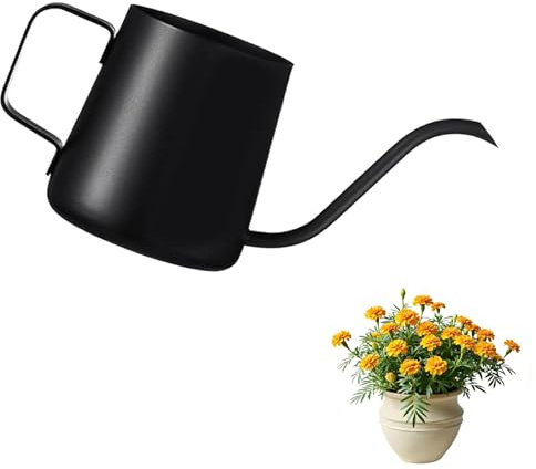 350 ML Schwarz Gießkanne Klein Zimmerpflanzen Mini Blumengießkanne Edelstahl Sprühflasche Langer Auslauf Bonsai Giesskanne Balkon Watering Can Gartenwerkzeug Gießhilfe Geräte Bewässerung