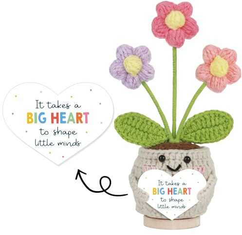 Teacher Gifts for Women Crochet Positive Flower with Thank You Card Positive Doll Thank You Gift Nursery Teacher Friends Colleagues Mum Decorative Accessories Hanging Ornaments