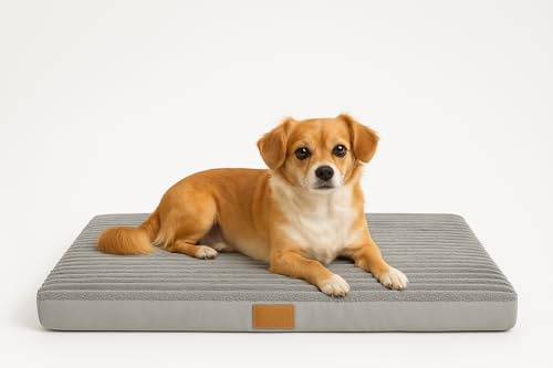Odolplusz Orthopädisches Hundebett, groß, 100x70x7 cm, Hundekissen flauschig Hundematte waschbar (80x60x7cm)