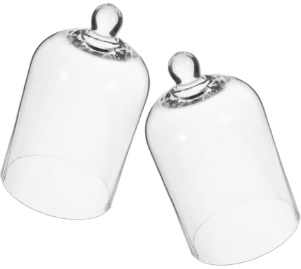 TOYANDONA Lot de 2 Cloches en Verre Transparent Couvercle, Dômes Décoratifs pour Fleurs Éternelles et Plantes Séchées, Accessoires Polyvalents pour Décoration Intérieure et Vitrines,
