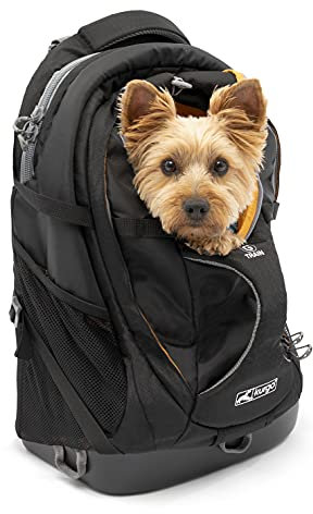 Kurgo G-Train Hunderucksack, Mit integriertem Haustierfach, Wasserfester Boden, Für Haustiere bis zu 11 kg, Schwarz