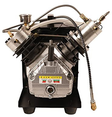 300bar 4500Psi Mini-pcp Compressore d'Aria Doppio Cilindro Compressore Ad Alta Pressione Pcp Pompa di Aria for Scuba Gonfiatore YIJIAN (Size : 110V)