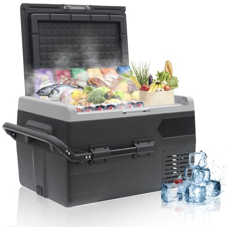Techomey 50L Mini-Kühlbox mit Abnehmbaren Rädern, Geräuschloser Elektrischer Kühl- und Gefrierschrank, 12V-Kühlschrank für Camping, LKW, Boot