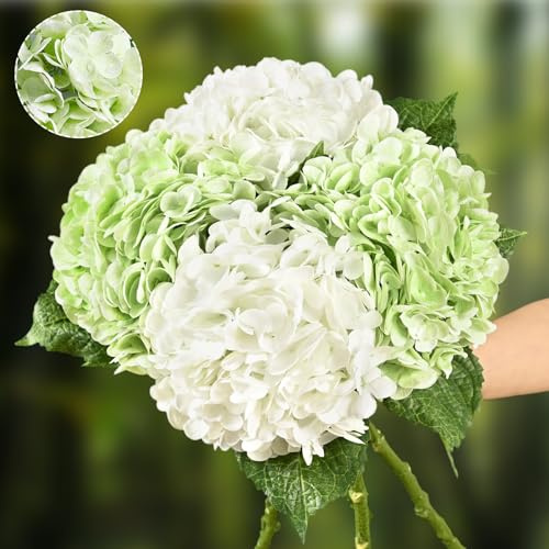 Flores artificiales de hortensia de tacto real, 2 flores verdes y 2 blancas de tacto real, flores de hortensia de imitación de 21 pulgadas, flores de hortensia falsas para exteriores, boda, oficina,