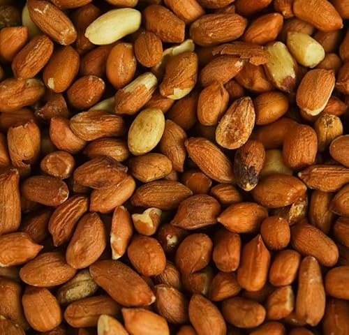 Beschäftigte Schnäbel Ganze Erdnüsse - Frisches Premium-Wildgarten-Vogel-Energie-Saatgutfutter (25kg)