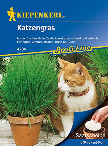 Katzengras 5 Stück Saatscheiben, immer frisches Grün für die Hauskatze, schnell und einfach für Töpfe Zimmer und Balkon
