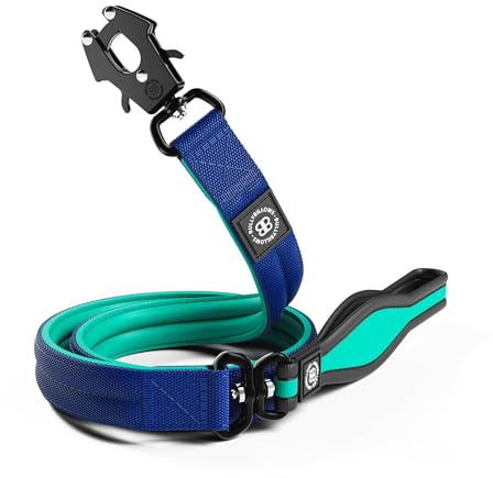 BullyBillows 1.2m Mini Combat Collar Lead | Stainless Steel Dog Lead | Suitable For All Dog Breeds | Neoprene Dog Lead With Soft Handle & Pressure Tested Clip | Black & Orange