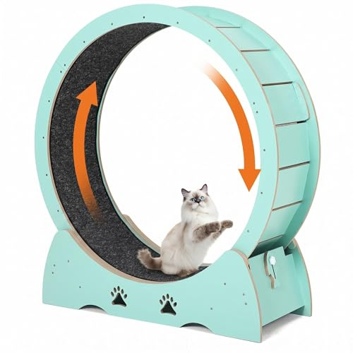 Katzenlaufrad l (ø 100 cm) Aus E1 MDF - Katzenlaufrad Extra Groß, Cat Wheel, Großes Laufband Für Katzen, Stabiles Trainingsgerät Für Katzen, Fitness Für Katzen Im Haus