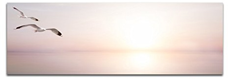 Paul Sinus Art Bilder Wand Bild - Kunstdruck 120x40cm Meer Sonnenlicht Möwen abstrakt