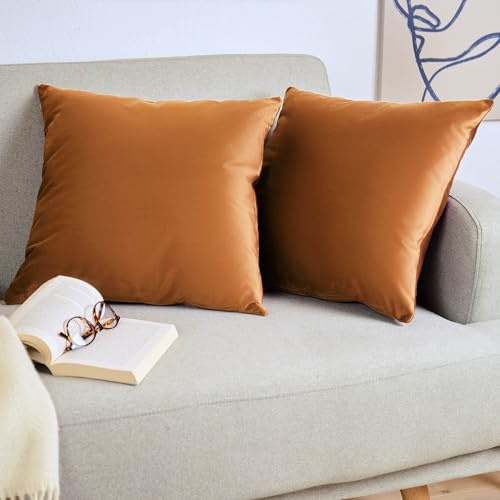 Blumtal 2er Set Kissenbezug 40x40 cm Braun - dekorativer Samt Kissenbezug mit verstecktem Reißverschluss, Kissenhülle für Zierkissen Deko-Kissen Polster Sofakissen & Couchkissen, waschbar