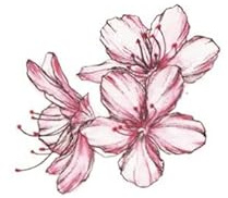 Temporary Tattoos For Adult 2 Pcs Of Cherry Blossom Face Stickers Clavicle Plain Flower Ins Style Waterproof Female Long-Lasting Small Picture Large Picture Stickers Fake Tattoos