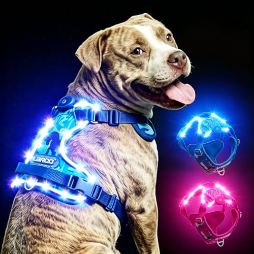 LED Hundegeschirr Leuchtend,Leuchtgeschirr für Hunde Aufladbar Verstellbar LED Leucht Brustgeschirr mit Griff für Klein Mittelgroße Grosse Hund Beleuchtetes Hundegeschirr (L)