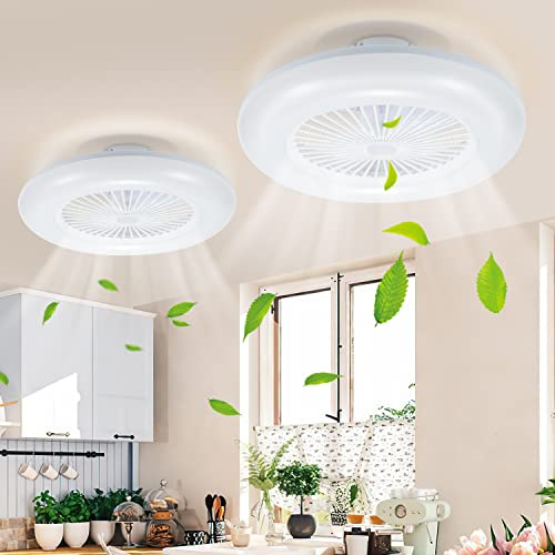 Daromigo Deckenventilator Mit Beleuchtung, 2x80W LED Stufenloses Dimmen Ventilator Beide Richtungen Drehen, mit Fernbedienung und mobiler APP, 3 Farbtemperatur 6-Gang and Timer Ventilatorlicht