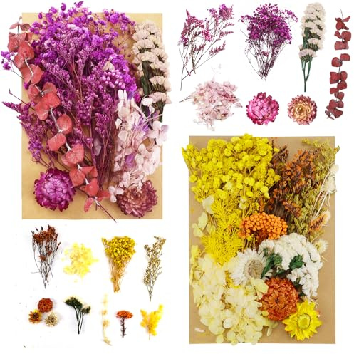 Tyafzzn Trockenblumen, Trockenblumen zum Basteln, Getrocknete Blumen, 18 Sorten Echte Trockenblumenstrauß Weiß Lila Trockenblumen Deko für Kunst Basteln Dekoration