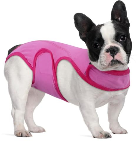 MHaustlie XS Hundebody Nach Op Hündin Für Kleine Hunde Op Body Hund Body Für Hunde Nach Op Wound Protection Suits for Female Dog Male Anti-Lecken Atmungsaktiv Op Body Hund (Rosa, XS)