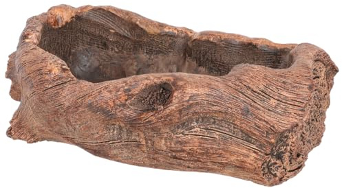 Abaodam Maceta De Cactus y Suculentas Forma De Raíz Tallada para Decoración De Escritorio y Hogar, Maceta De Cemento Tamaño Único, Diseño Rústico Natural para Interiores y Exteriores