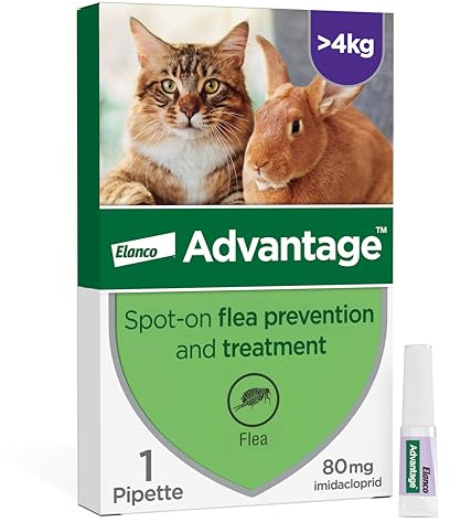 Advantage Spot On Flea Treatment For Large Cats and Rabbits Over 4kg (1 pipette, 80mg), Kills Fleas Within 24 Hours, Prevents Further Infestation For Up To Four Weeks in Cats
