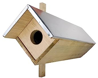 Esschert Design NK44 Holzkiste Kleine Eule, 52 x 81 x 31 cm, Braun