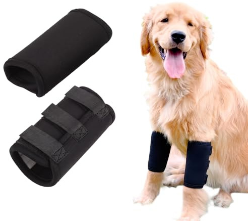 Bandage Hund Vorderbein – Gelenkschutz, 1 Paar, M | Hund Sprunggelenk Schutz, Manschette Bein, Orthese Kapalgelenk, Neopren, atmungsaktiv, für OP-Erholung
