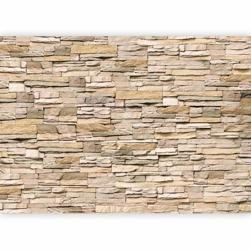 murando Fotomurales 400x280 cm XXL Papel pintado tejido no tejido | Decoración de Pared decorativos Murales moderna de Diseno Fotográfico - Ladrillo Piedras