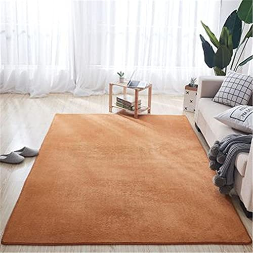 Alfombra de Terciopelo Coral Grueso de Color sólido Calidad Marrón claro Suave Lavable Antideslizante Grande Rugs Rug Minimalista Moderna Sala De Estar Dormitorio Tatami Gateando Estera -120×140cm