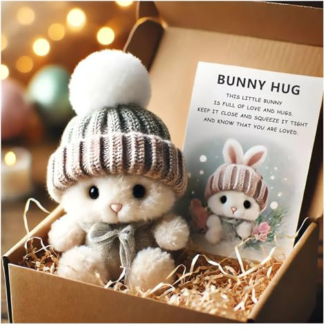 Mini Bunny Hug Cute Easter Gift Plush 2025 Bunny in a Box Hugs Positive Bunny Stuffed Animal Rabbit Soft Floppy Easter Ideas Bunnies Basket Stuffers Doll Emotional Support Inspirational Gifts (A1)