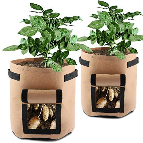 SHANNA Lot de 2 sacs de culture pour pommes de terre, carotte, tomate, oignon, tissu respirant double couche de qualité supérieure non tissé avec poignées de sangle Marron