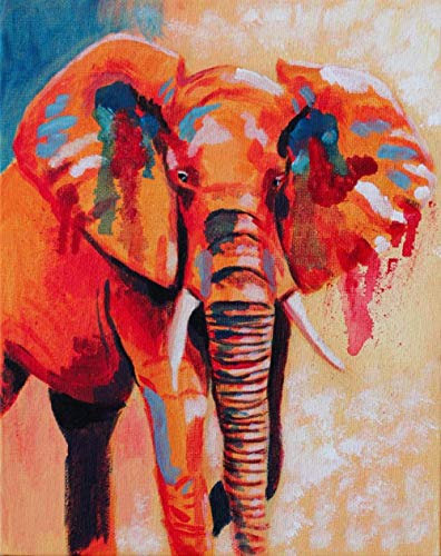 XCSQTYMY Malen nach Zahlen Bunter Elefant für Erwachsene DIY Ölgemälde-Set für Kinder Anfänger