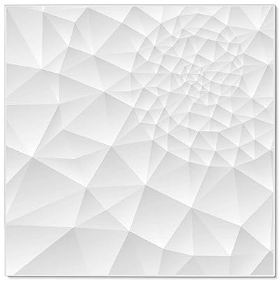 banjado Magnettafel 50 x 50 cm/Magnetwand aus Metall/Magnetpinnwand als Memoboard/Pinnwand Magnettafel Küche, Büro, Kinderzimmer inkl. 4 Magnete & Montageset - Motiv Nautilus