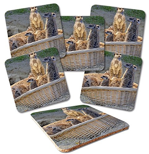 ADDIES Glas-Untersetzer 6-TLG.Set Bedruckt Motiv ERDMÄNNCHEN-04 in hochwertiger Klarsicht-Geschenkbox und Korkrückseite, Tier-Motiv