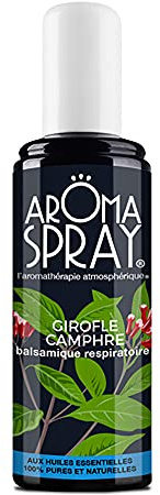 Aroma Spray – Rumsprej/aromaterapi, doftnoter: eukalyptus och mynta, med eteriska oljor, 100% ren och naturlig, 100 ml
