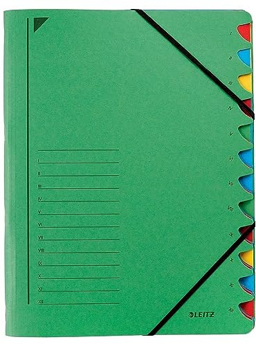Leitz 39120055 Ordnungsmappe, 12 Fächer, Colorspankarton, grün