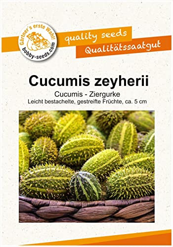 Ziergurkensamen C. zeyherii Portion