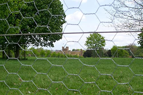 F&G Supplies Farm and Garden Heavy Duty Wire Mesh 1.8m tall x 25mm 25m Roll