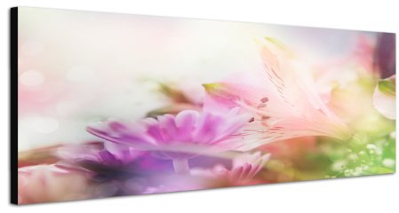 Augenblicke Wandbilder Keilrahmenbild Wandbild 150x50cm Blumen Blüten Frühling Farbfilter