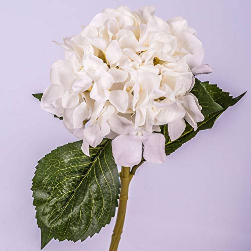 artplants.de Ortensia Artificiale, Bianco, 50cm, Ø 18cm - Ortensia Decorativa/Ramo Fiorito