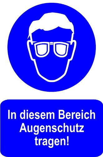 Gebotsschild aus Kunststoff - In diesem Bereich Augenschutz tragen - 30 x 45 cm