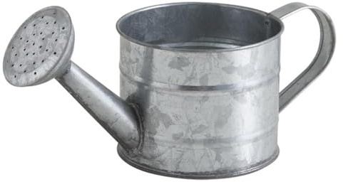 AUBRY GASPARD - Petit Arrosoir Déco 75cl en Zinc - Longueur 25 x Ø 11 x Hauteur 9-11 cm - Décoratif Non Fonctionnel - Style Vintage Rustique pour Jardin ou Intérieur - Léger avec Poids 0,26 kg