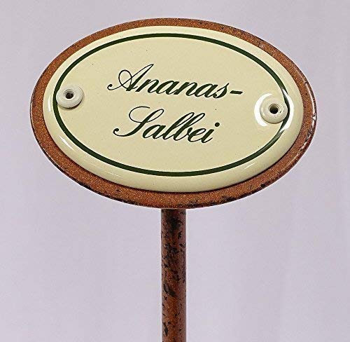 linoows Kräuterschild Kräuterstecker Emaille, Ananas Salbei, Erdspieß 25 cm