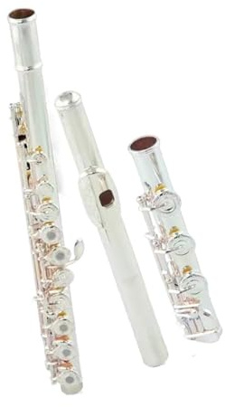 Flauto traverso flauto per principianti Flauto strumento musicale argento bocchino argento 17 fori aperto coda B chiave francese classificazione universale professionale