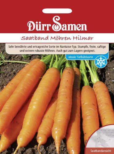 Zanahorias Hilmar (cinta de semillas)