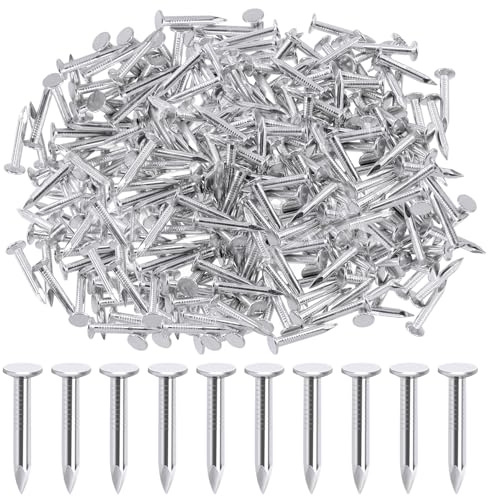 Rustark 300 chiodi in cartongesso zincati da 30 mm, in cartongesso, chiodi per tetto, chiodi in cartone per tetto, chiodi per tetto, chiodi per tetto, chiodi in feltro per riparazioni di tetto, tegole