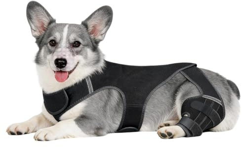 Soporte Para Pierna De Perro Manga Articular Ajustable | Con 4 Estabilizadores Metálicos Soporte De Pata Trasera Para Caminar Senderismo Actividades Al Aire Libre Parque Playa Viaje