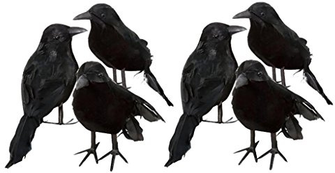 Shiwaki 6-pack kråkor konstgjord fågel halloween dekor korp svarta fåglar svart befjädrad kråka handgjord rekvisita dekorationer realistisk djurprydnad statyett staty modell