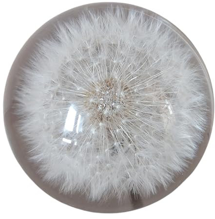 Generisch 6 cm Deko Figur Glas Pusteblume Löwenzahn Briefbeschwerer Handarbeit Glaskugel