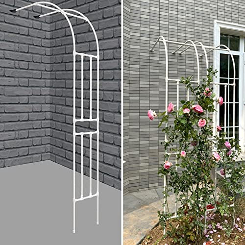 Pergola en fer forgé coloré pour rosiers grimpants - Support mural en plastique pour rosiers et vignes - 125 x 267 cm