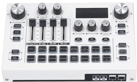 POENVFPO USB -Doppelkore -USB Schnittstellen Soundkarte für Live Diffusion, Robustes Metallmaterial