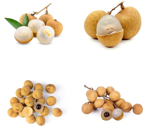 semi di longan - resistenti all'esterno di Dimocarpus di fresca, decorazione da giardino per esterni rare, 40pcs
